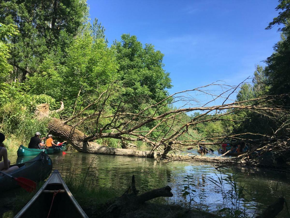 Donaupark Camping Tulln Otel Tulln An Der Donau Dış mekan fotoğraf