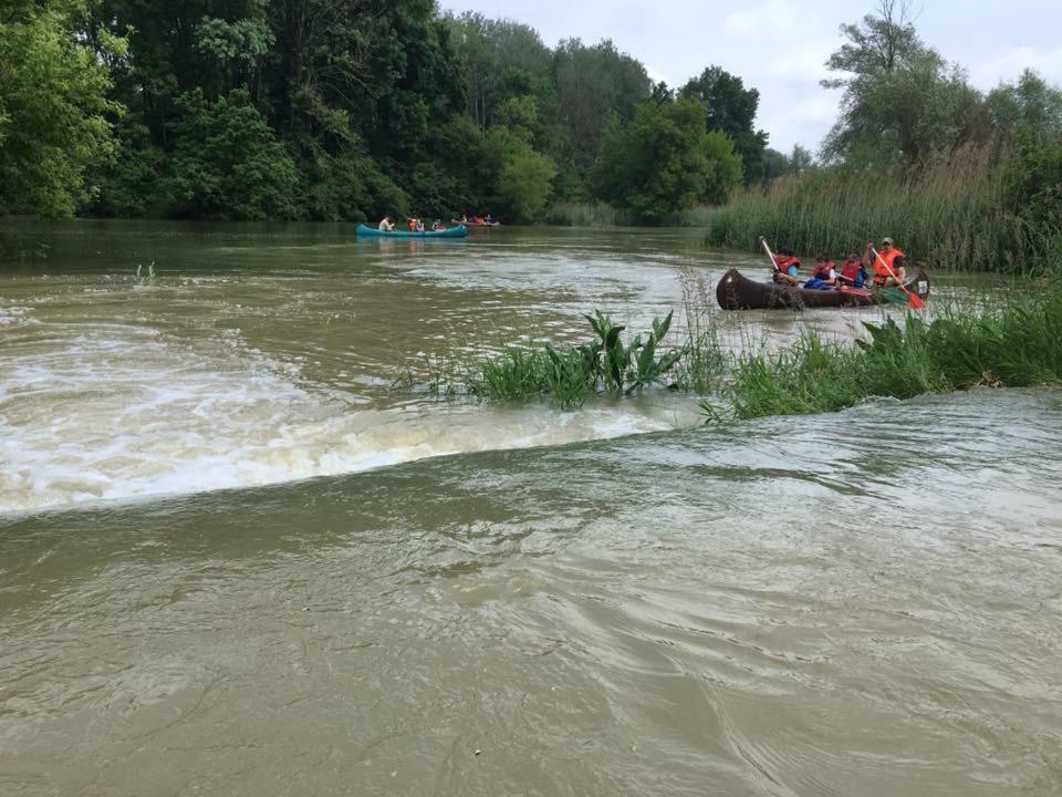 Donaupark Camping Tulln Otel Tulln An Der Donau Dış mekan fotoğraf